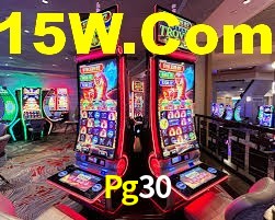 Premium Interface Pg30